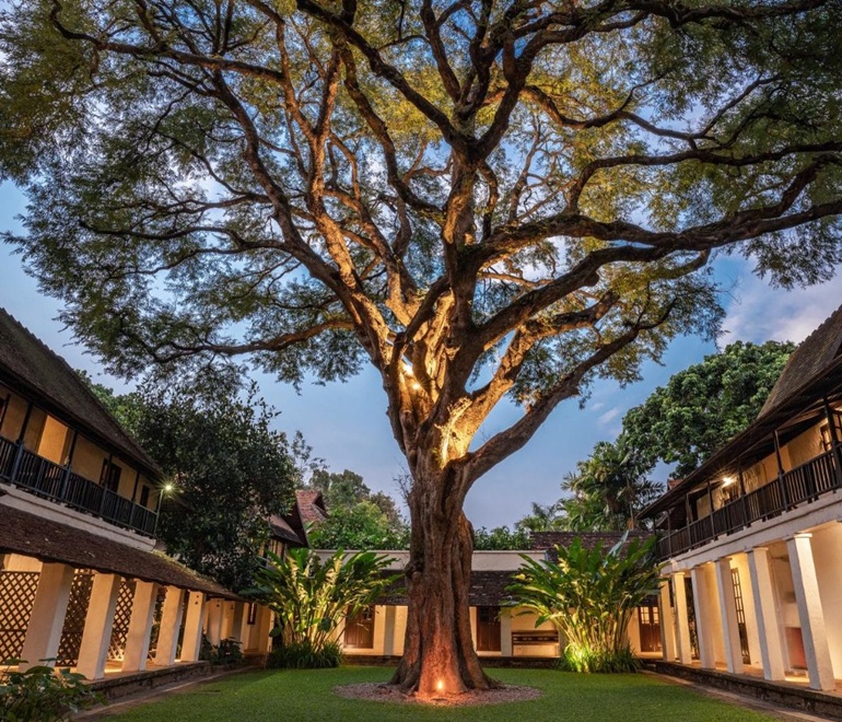 Tamarind Village, Chiang Mai
